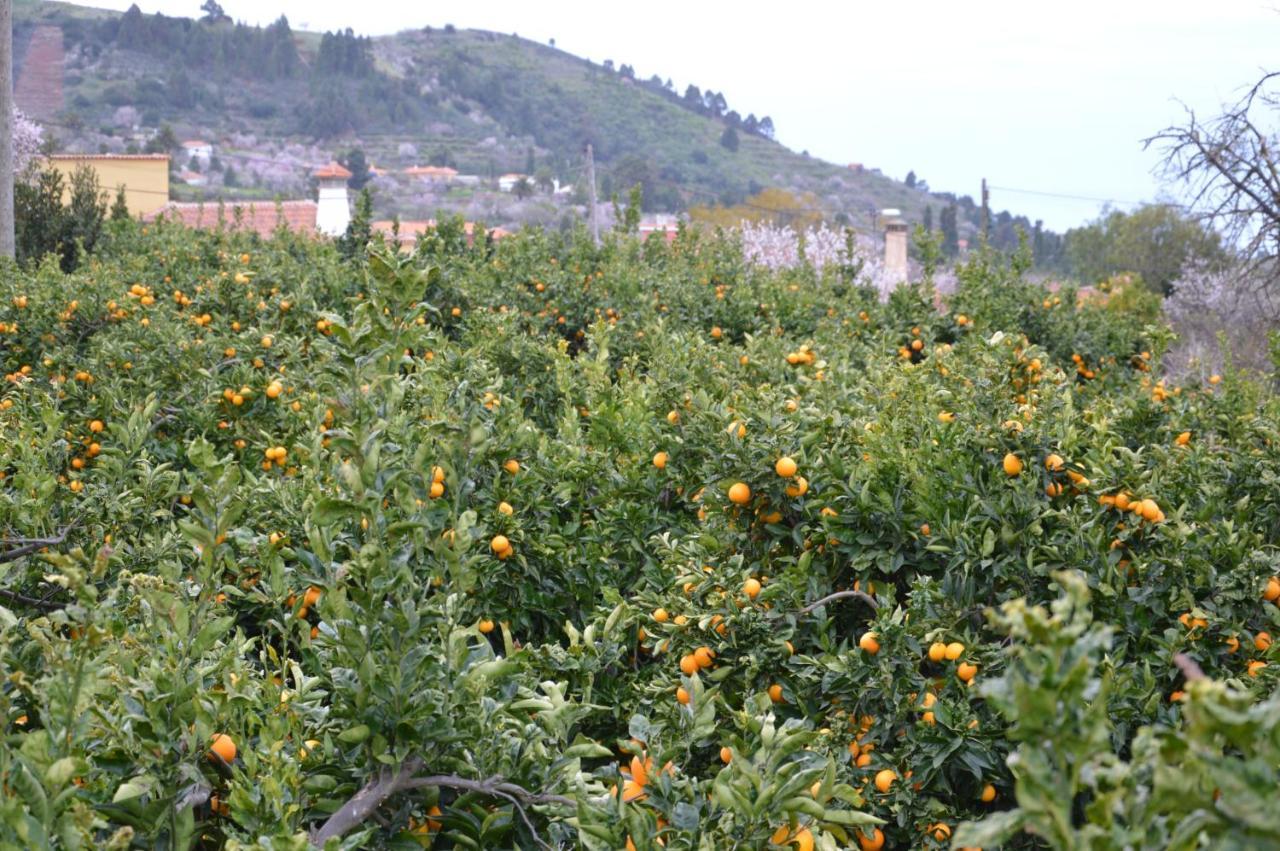 Casa Cesar Βίλα Πούντα Γκόρντα Εξωτερικό φωτογραφία